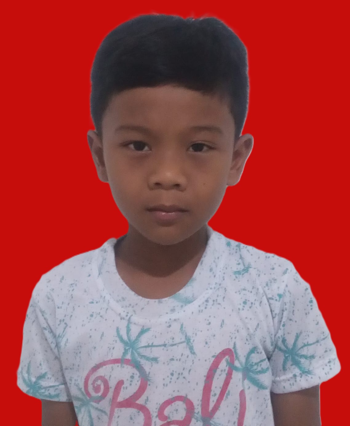Anak agung dirga wirayuda